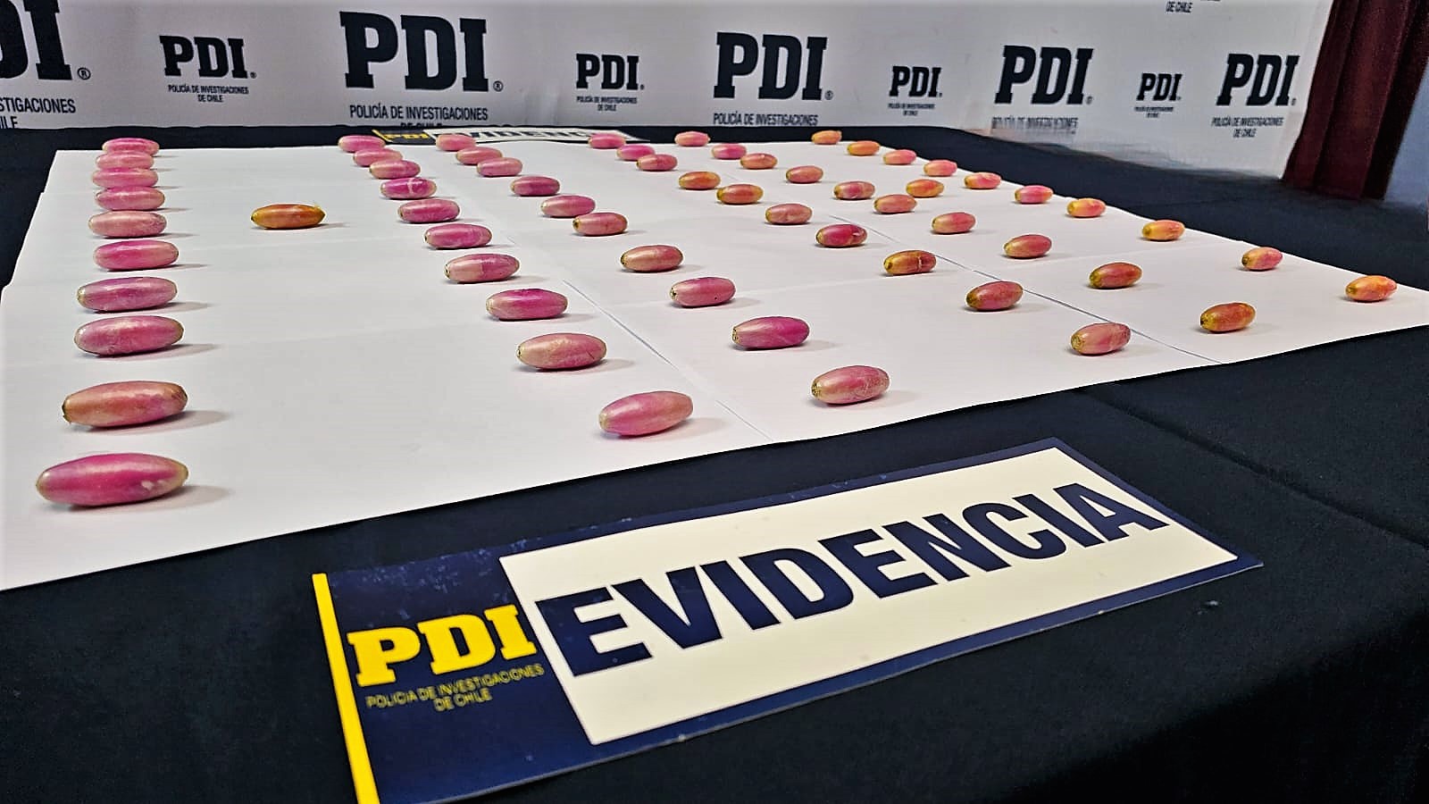 Investigación Criminal Pdi Atacama IncautÓ Cerca De 700 Gramos De Clorhidrato De CocaÍna En 