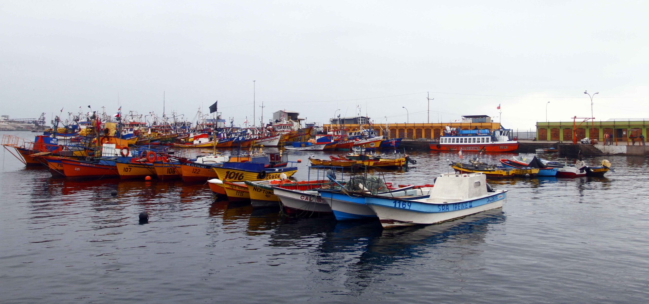 Nueva Ley de Pesca refuerza el desarrollo sostenible y equitativo de la